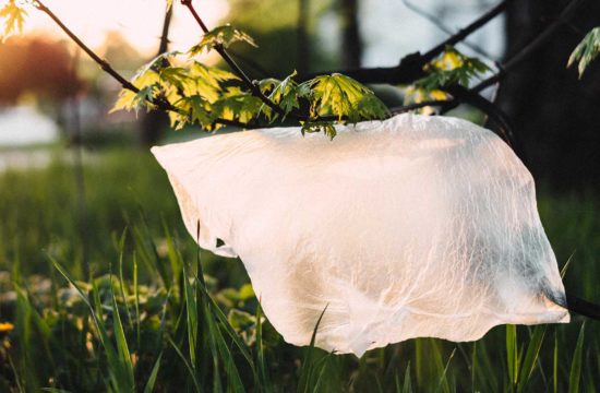 Apifilm, une idée écologique qui nous emballe !