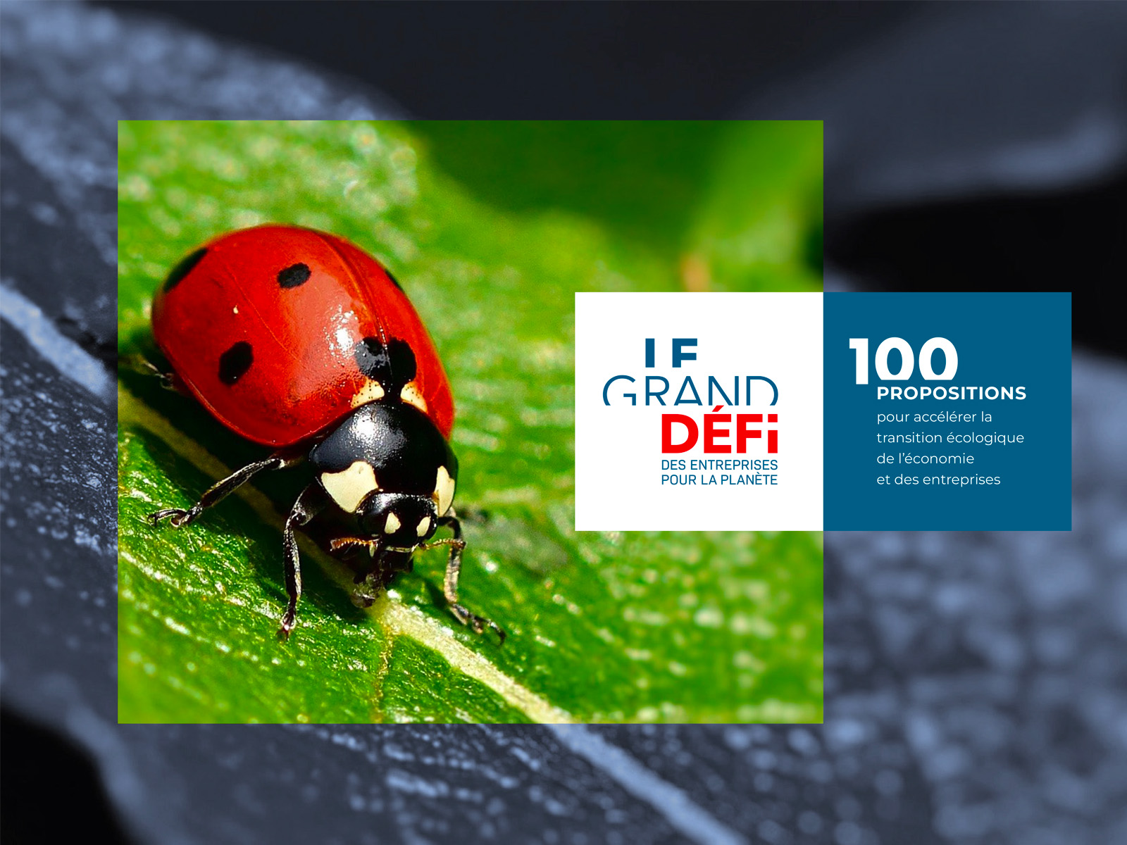 PDF de présentation des 100 propositions du Grand Défi pour accélérer la transition écologique des entreprises