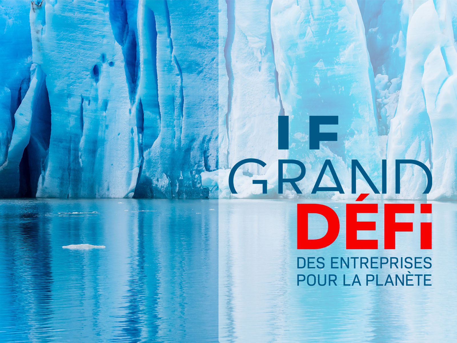 100 propositions du Grand Défi des entreprises pour la planète