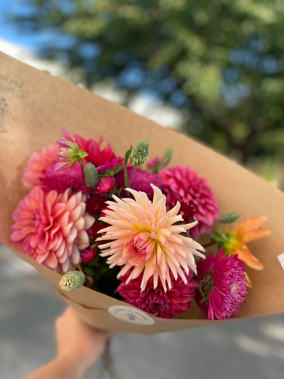 Photo Fleurs françaises Les Bottes d'Anémone